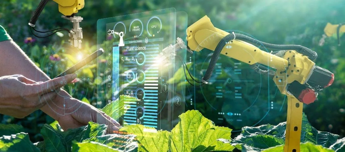 A person operates a robot to efficiently harvest plants in a field, showcasing modern agricultural technology.