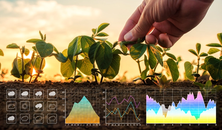 A hand points at a plant surrounded by various graphs and charts, illustrating data related to its growth and health.