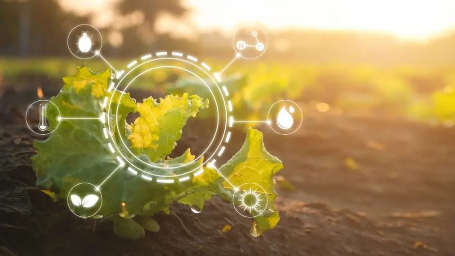 Agricultural technology showcased in a field, highlighting modern farming practices and innovative equipment.